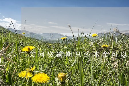 欠网贷逾期只还本金可以吗 欠网贷逾期只还本金可以吗