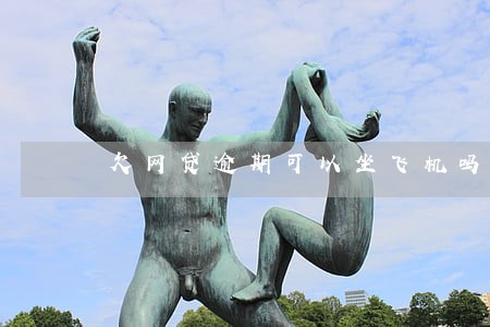 欠网贷逾期可以坐飞机吗 欠网贷逾期可以坐飞机吗