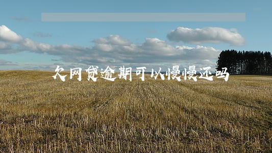 欠网贷逾期可以慢慢还吗 欠网贷逾期可以慢慢还吗