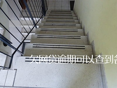 欠网贷逾期可以查到名下财产吗