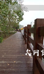 欠网贷逾期多久被 欠网贷逾期多久被