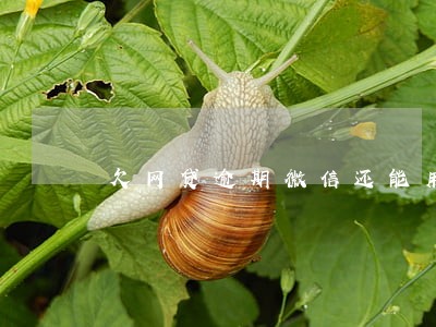 欠网贷逾期微信还能用吗 欠网贷逾期微信还能用吗