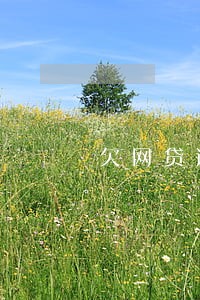欠网贷逾期怎么全部还完 欠网贷逾期怎么全部还完