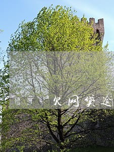 欠网贷逾期怎么寻求法律援助 欠网贷逾期怎么寻求法律援助
