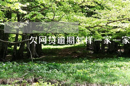 欠网贷逾期怎样一家一家的还 欠网贷逾期怎样一家一家的还