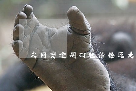 欠网贷逾期打电话接还是不接 欠网贷逾期打电话接还是不接