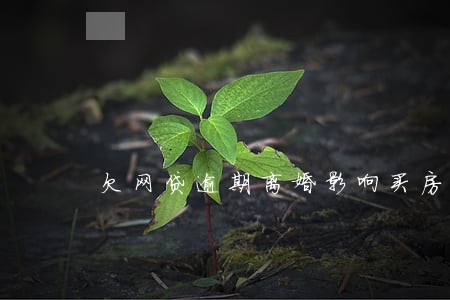 欠网贷逾期离婚影响买房 欠网贷逾期离婚影响买房