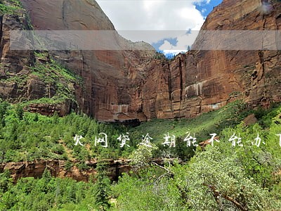 欠网贷逾期能不能办下信用卡 欠网贷逾期能不能办下信用卡