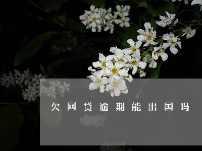 欠网贷逾期能出国吗 欠网贷逾期能出国吗