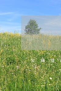 欠网贷逾期被催收 欠网贷逾期被催收