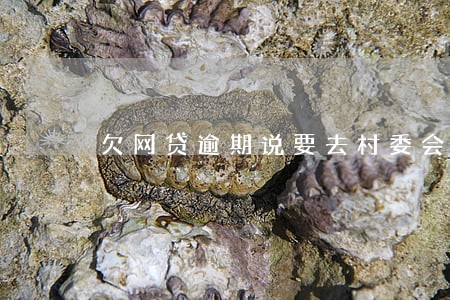欠网贷逾期说要去村委会 欠网贷逾期说要去村委会