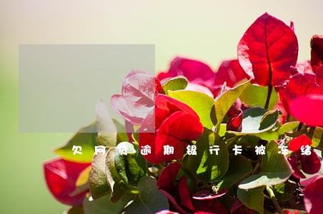 欠网贷逾期银行卡被冻结 欠网贷逾期银行卡被冻结