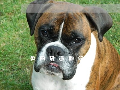 欠网贷逾期问题 欠网贷逾期问题