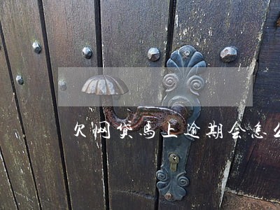 欠网贷马上逾期会怎么样 欠网贷马上逾期会怎么样