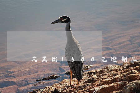 欠美团1500元逾期几个月了 欠美团1500元逾期几个月了
