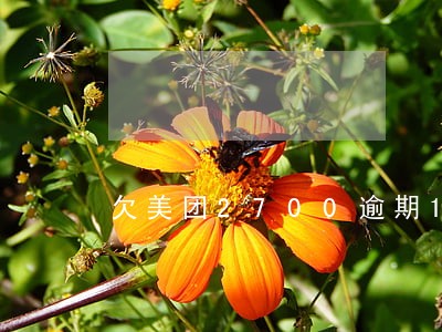 欠美团2700逾期128天