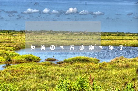 欠美团3万逾期3年了