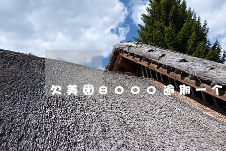 欠美团8000逾期一个星期 欠美团8000逾期一个星期