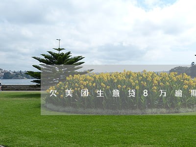 欠美团生意贷8万逾期怎么办 欠美团生意贷8万逾期怎么办