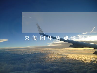 欠美团生活费逾期300天 欠美团生活费逾期300天
