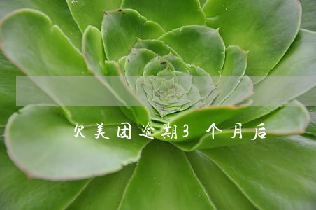 欠美团逾期3个月后 欠美团逾期3个月后