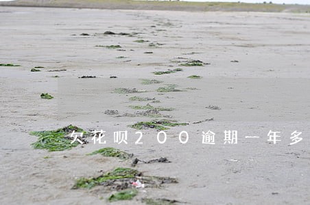欠花呗200逾期一年多了