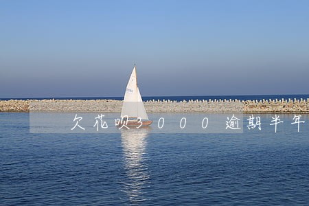 欠花呗3000逾期半年 欠花呗3000逾期半年