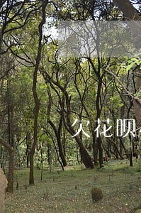 欠花呗4000逾期两年多了 欠花呗4000逾期两年多了