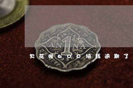 欠花呗600块钱逾期了会上门吗 欠花呗600块钱逾期了会上门吗