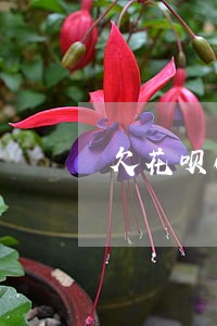 欠花呗600块钱逾期利息