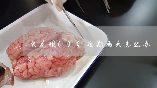 欠花呗600逾期两天怎么办 欠花呗600逾期两天怎么办