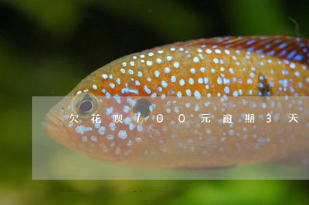 欠花呗700元逾期3天会怎样 欠花呗700元逾期3天会怎样
