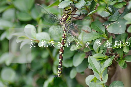 欠花呗8000多逾期四个月了 欠花呗8000多逾期四个月了