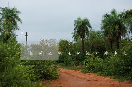 欠薪法院强制执行要多久