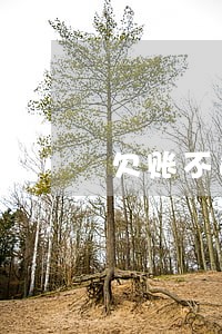 欠账不还法院告有用吗