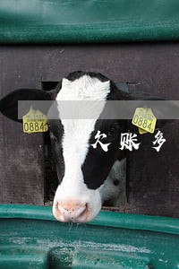 欠账多少可以诉讼
