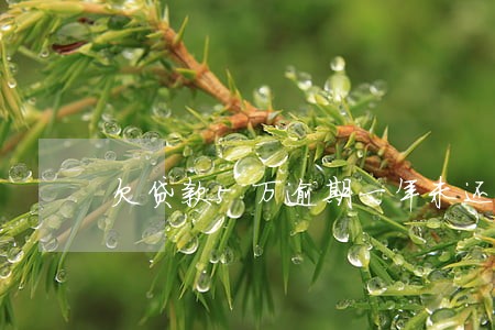 欠贷款5万逾期一年未还款 欠贷款5万逾期一年未还款
