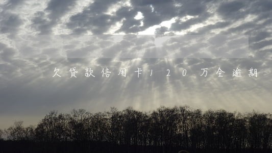 欠贷款信用卡120万全逾期 欠贷款信用卡120万全逾期