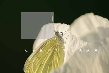 欠贷款公司几千块逾期 欠贷款公司几千块逾期