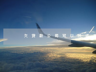 欠贷款公司可以只还本金吗 欠贷款公司可以只还本金吗