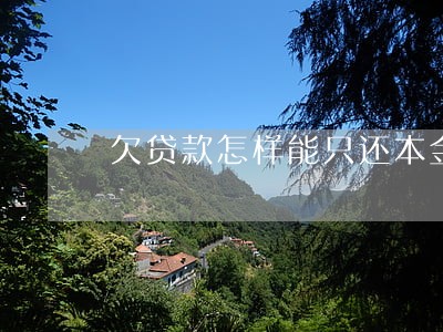 欠贷款怎样能只还本金 欠贷款怎样能只还本金