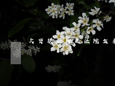 欠贷款没钱还法院发来传票怎么办 欠贷款没钱还法院发来传票怎么办