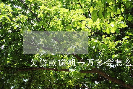 欠贷款逾期一万多会怎么样 欠贷款逾期一万多会怎么样