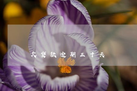 欠贷款逾期三十天 欠贷款逾期三十天