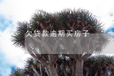 欠贷款逾期买房子 欠贷款逾期买房子