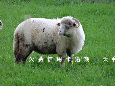 欠费信用卡逾期一天会怎样 欠费信用卡逾期一天会怎样