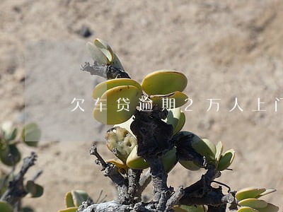 欠车贷逾期2万人上门要账 欠车贷逾期2万人上门要账