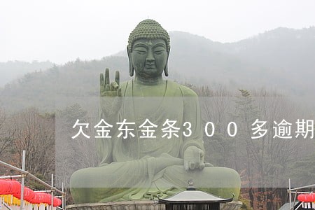欠金东金条300多逾期