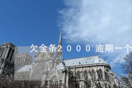 欠金条2000逾期一个月 欠金条2000逾期一个月