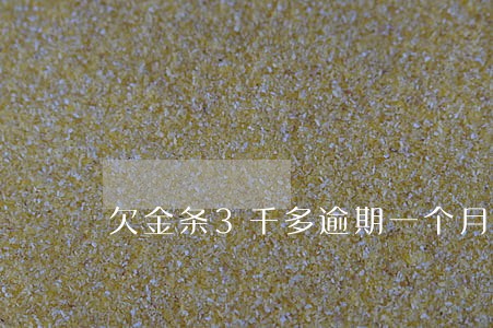 欠金条3千多逾期一个月会上门吗 欠金条3千多逾期一个月会上门吗